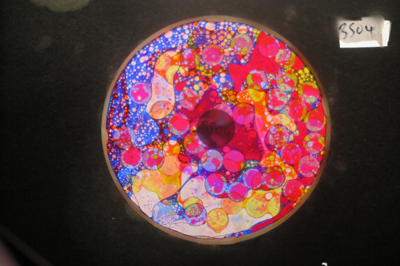 BV3504 bubble vision oil wheel